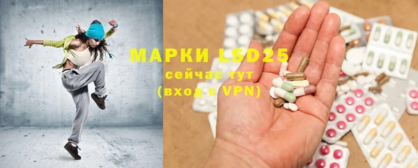 крисы Алексин