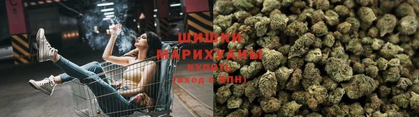 крисы Алексин