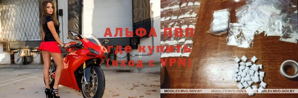 крисы Алексин