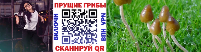 Галлюциногенные грибы MAGIC MUSHROOMS Малаховка